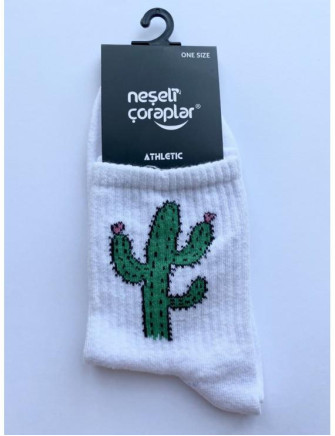 Шкарпетки RocknSocks Кактус з квітами(білий)
